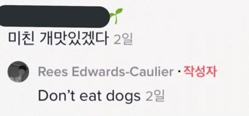 외국인들이 한국인은 개를 많이 먹는다고 믿는 이유