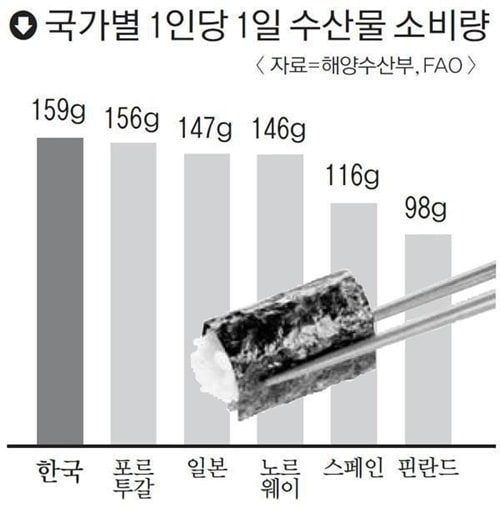 최고대한민국