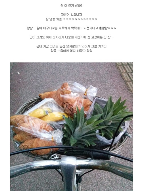 살 빼려고 자전거 산 후기