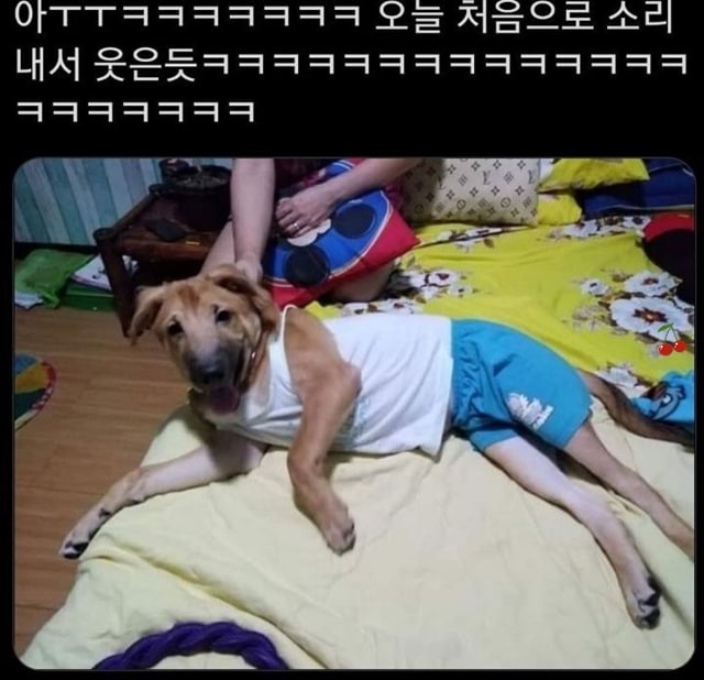 술 많이 드신 삼촌