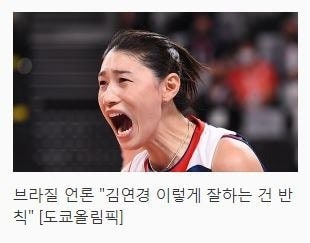 김연경선수 반칙 및 범죄논란