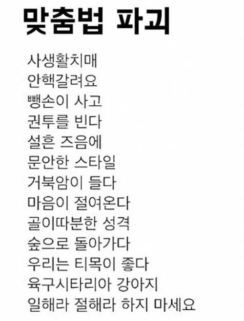 맞춤법 파괴