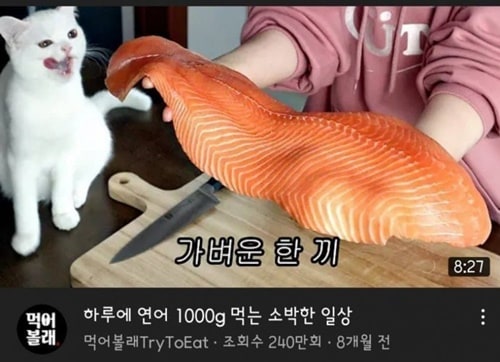 먹방준비중