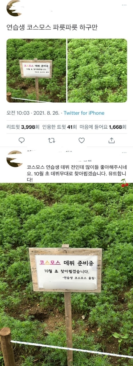 귀여운 팻말