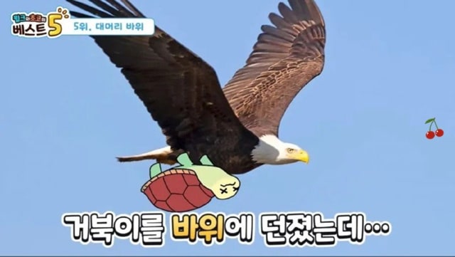 역사 속 황당한 죽음들