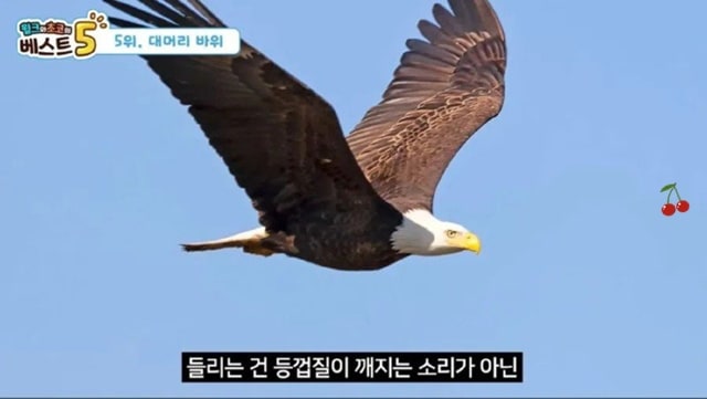 역사 속 황당한 죽음들