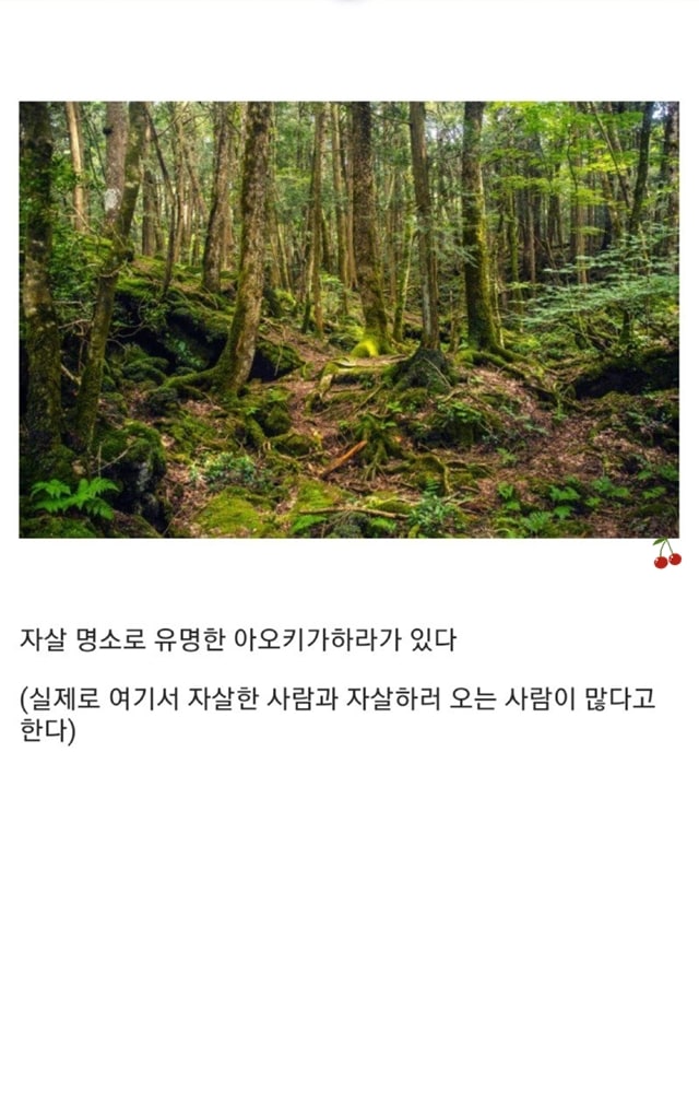 몰라도 되는 일본의 이상한 문화