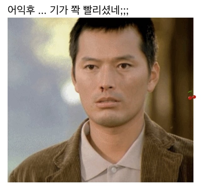 신혼여행 갔다온 연예인들