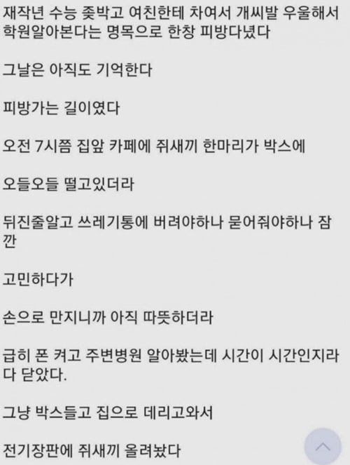 다시는 안키운다