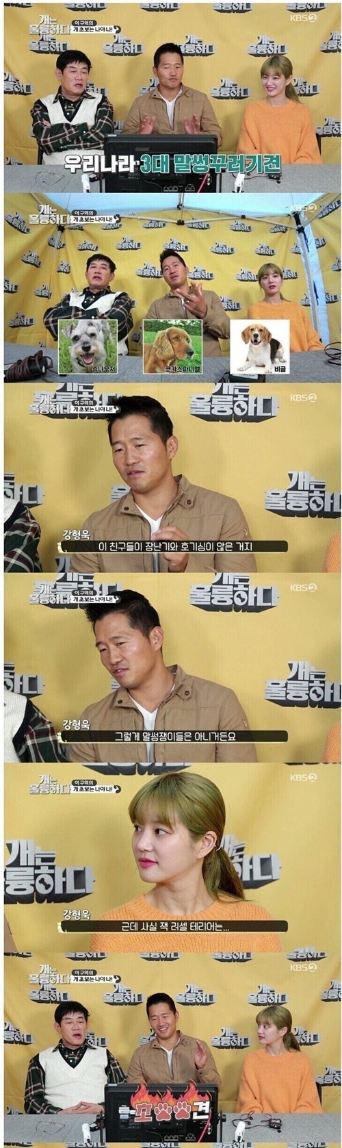 한수 위라는 견