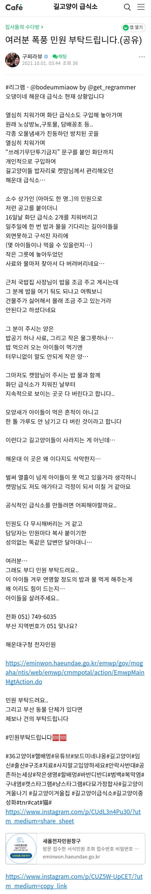 캣맘들 격분