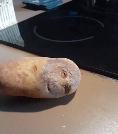 먹기 미안해지게 만드는 감자