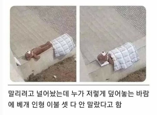 친절함이 부른 대참사