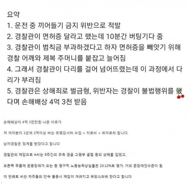 경찰의 4억짜리 업어치기