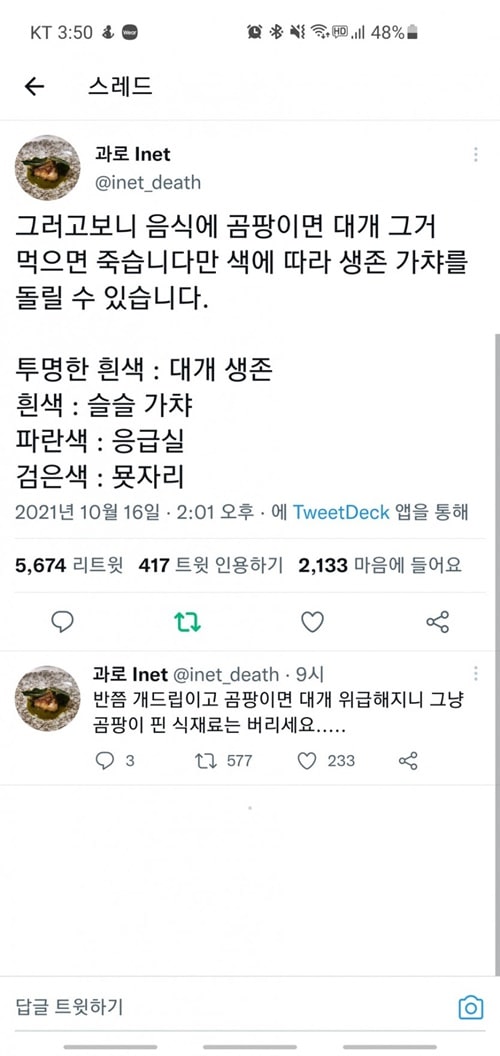 곰팡이 핀 음식