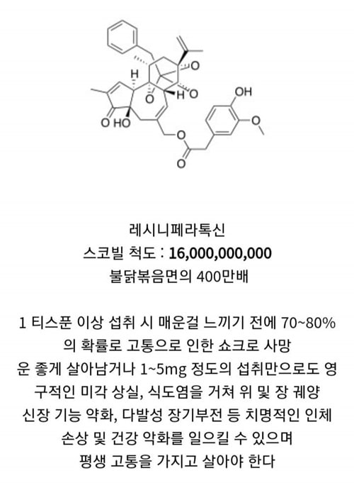 세상에서 가장 매운 물질