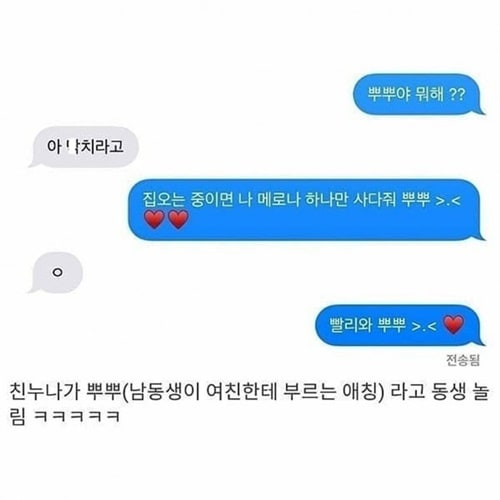 문자 잘 못 보낸 남동생