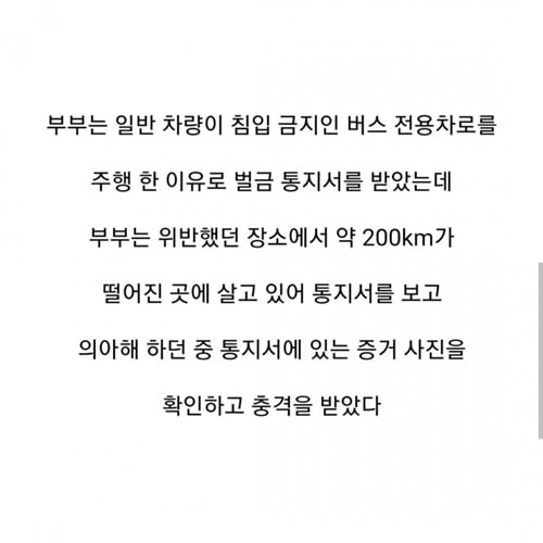 벌금 통지서를 받고 당황한 이유