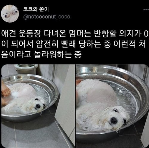 의지를 모두 상실