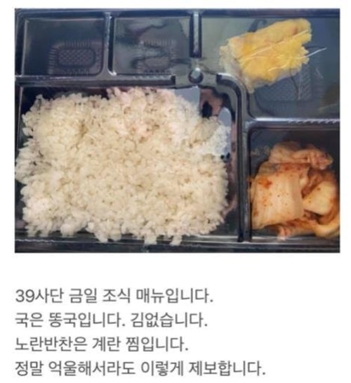 한국 군대를 비판하는 AV배우