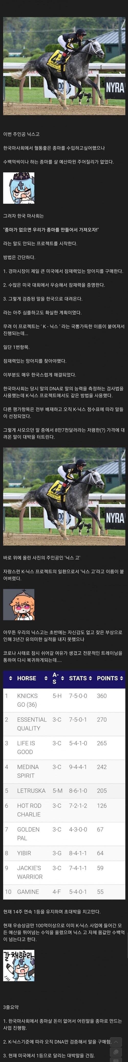 한국 마사회의 도전