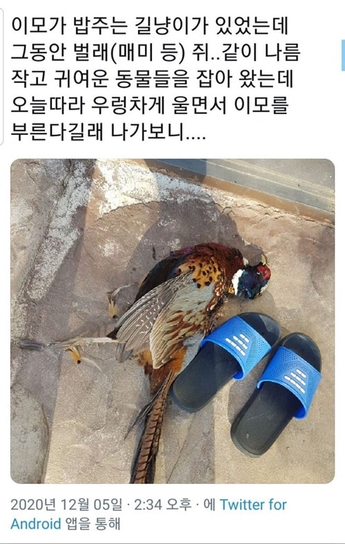 이거 좀 맛있게 삶아줘