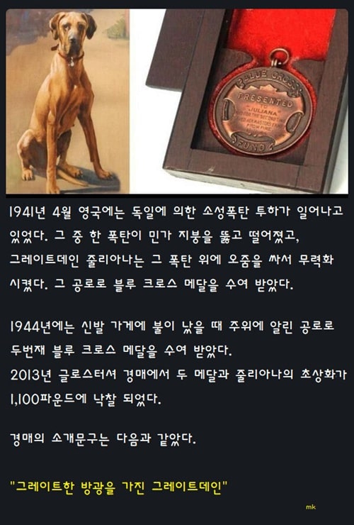 폭탄에 오줌 싼 개