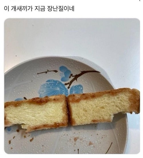 동생이 만들어준 토스트