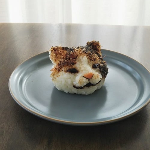 귀여운 고양이 주먹밥