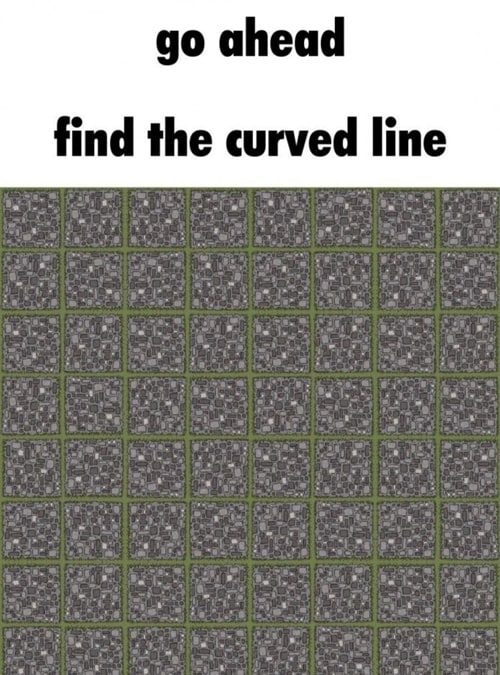 곡선을 찾아보세요