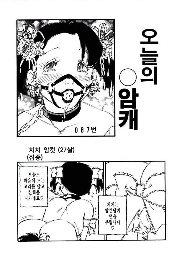 발런티어 브리딩 -3화