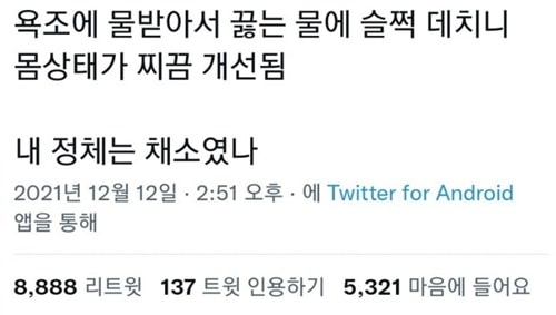 뒤늦게 알게 된 나의 정체성