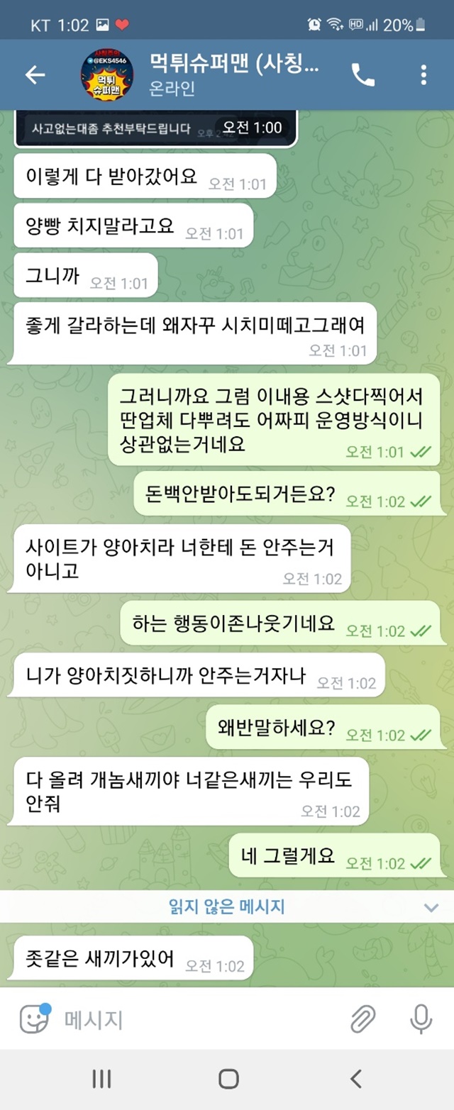 체스 먹튀조심