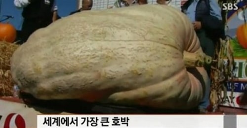 너무 커