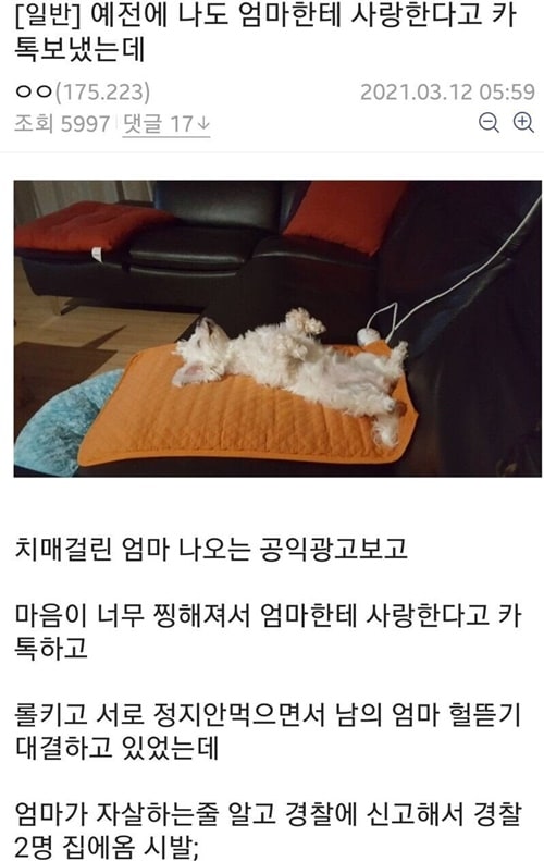 의외로 경찰이 집에 찾아오는 행동