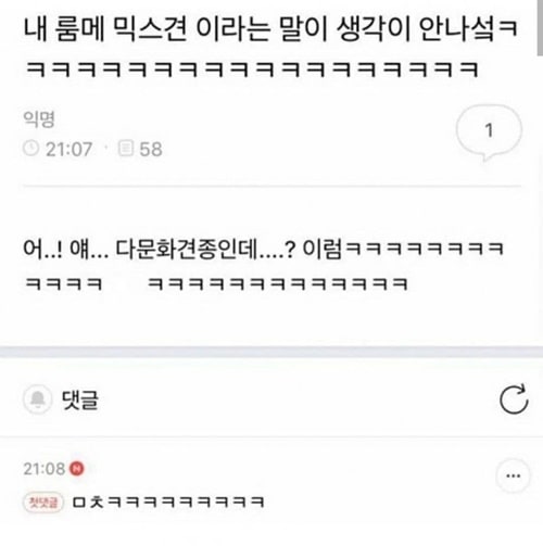 믹스견이라는 말 생각이 안나서ㅋㅋ