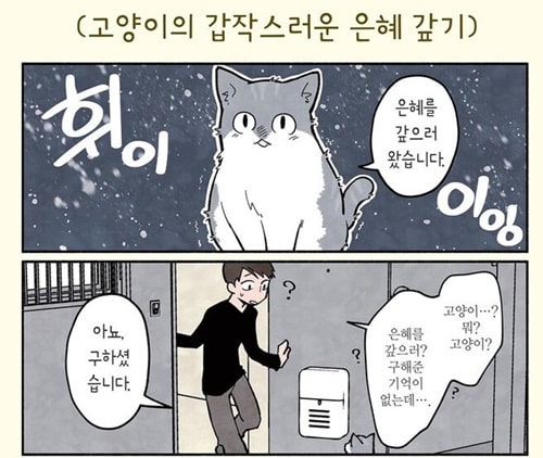 은혜갚는 고양이