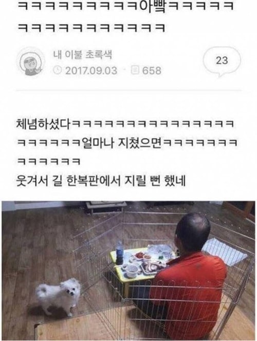 체념한 아빠