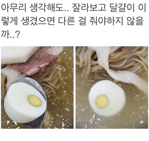 냉면집 논란의 삶은달걀