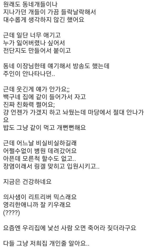 개뻔뻔한