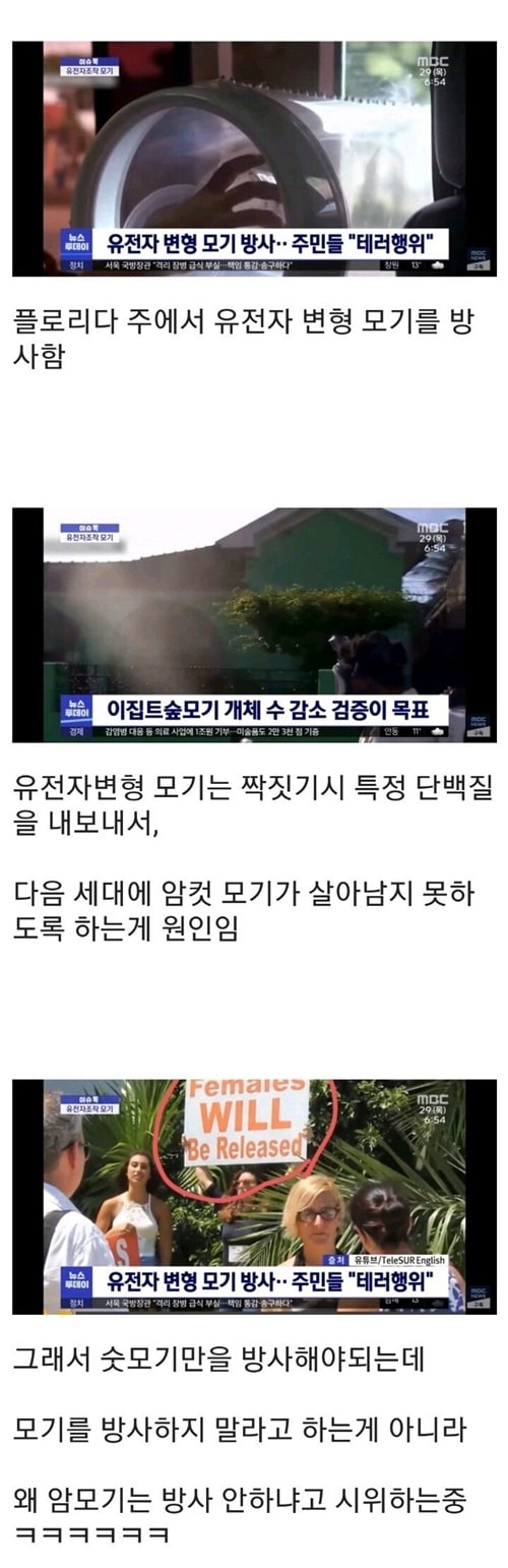 당혹스러운 페미니즘