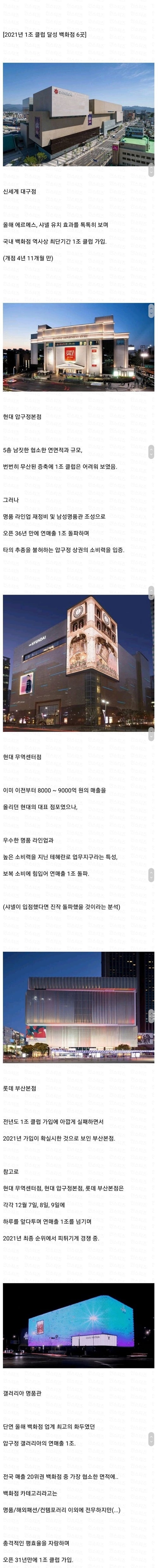 현재 대한민국 백화점 업계