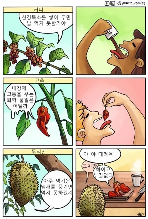 생존전략