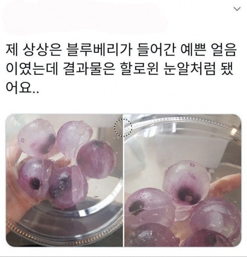 어느 카페 사장님의 야심작