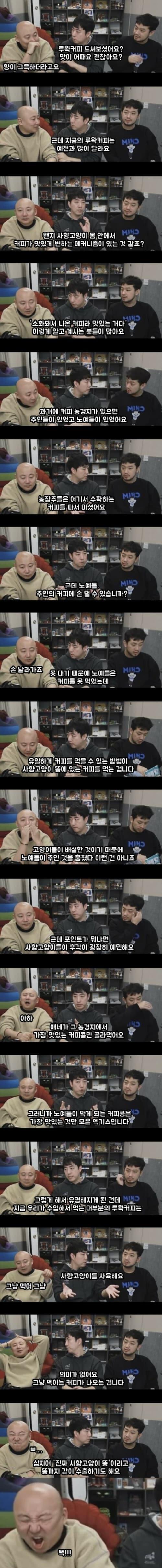 루왁 커피의 진실