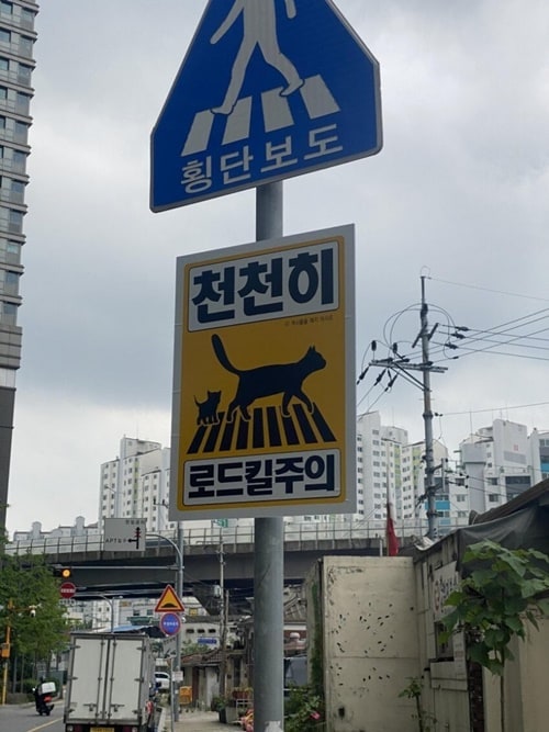 캣맘 근황