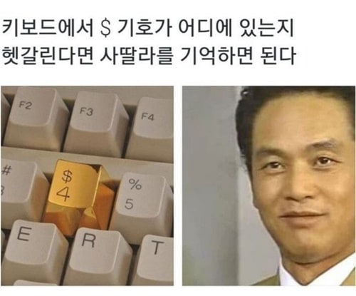 사딸라 근황