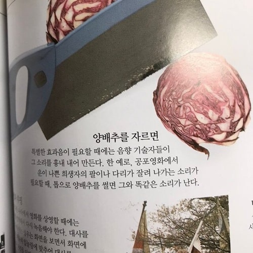 사람을 자를 때 나는 소리