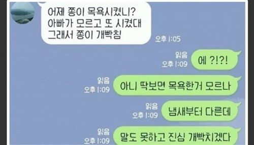 어제 쫑이 목욕시켰니?