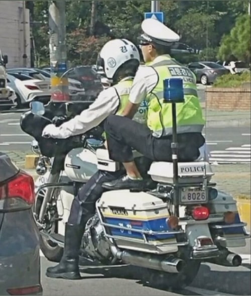 교통경찰